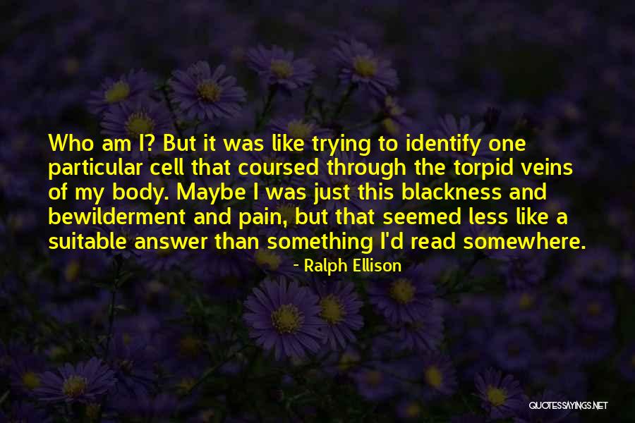 Bewilderment Quotes By Ralph Ellison Bewilderment Quotes By Ralph Ellison