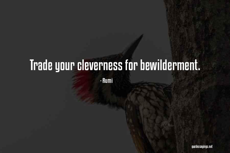 Bewilderment Quotes By Rumi Bewilderment Quotes By Rumi