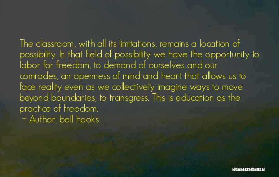 Beyond Limitations Quotes By Bell Hooks