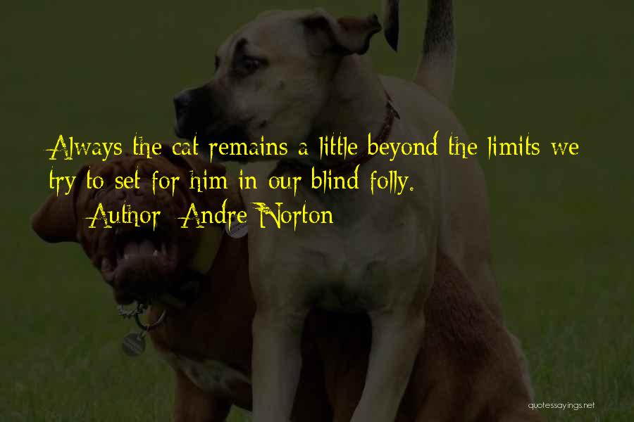 Beyond Limits Quotes By Andre Norton