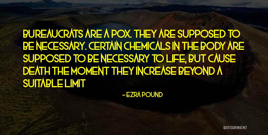 Beyond Limits Quotes By Ezra Pound