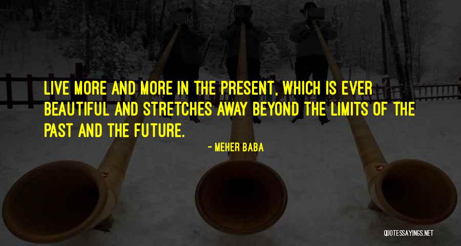 Beyond Limits Quotes By Meher Baba