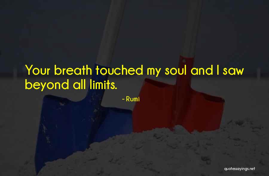 Beyond Limits Quotes By Rumi