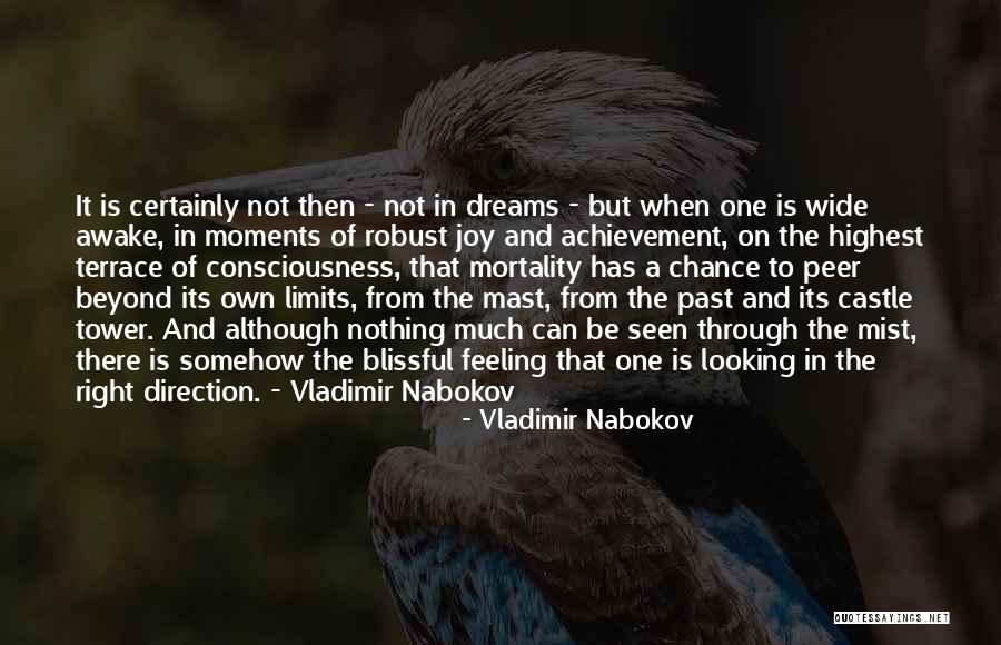 Beyond Limits Quotes By Vladimir Nabokov