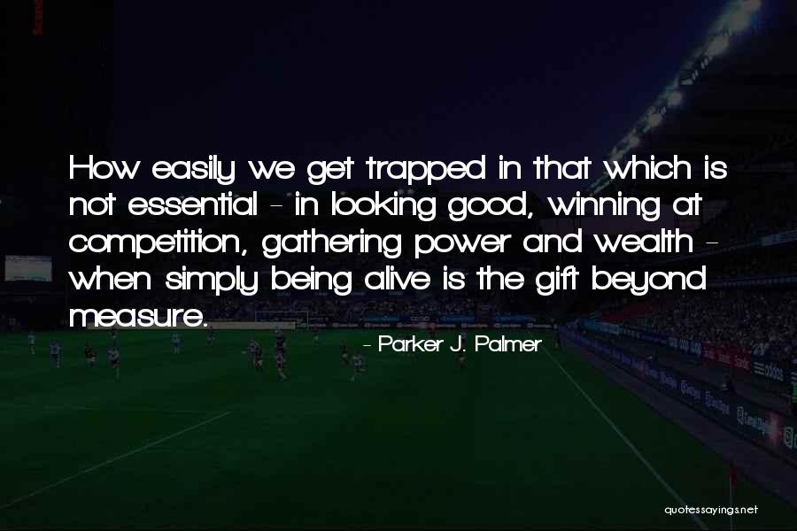 Beyond Measure Quotes By Parker J. Palmer Beyond Measure Quotes By Parker J. Palmer