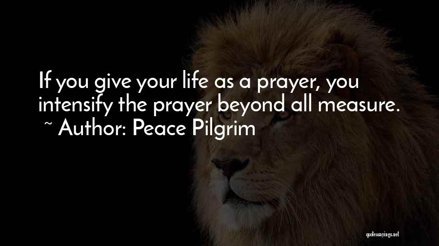 Beyond Measure Quotes By Peace Pilgrim