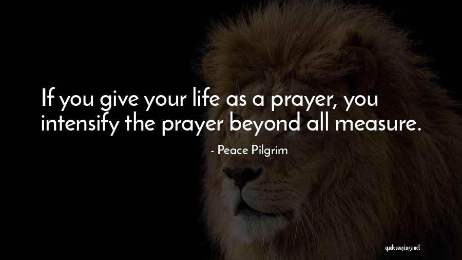Beyond Measure Quotes By Peace Pilgrim Beyond Measure Quotes By Peace Pilgrim