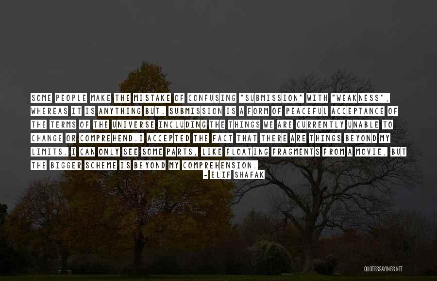 Beyond My Limits Quotes By Elif Shafak Beyond My Limits Quotes By Elif Shafak