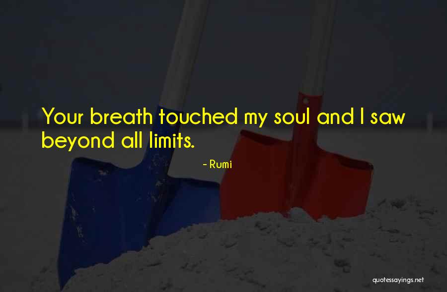 Beyond My Limits Quotes By Rumi Beyond My Limits Quotes By Rumi