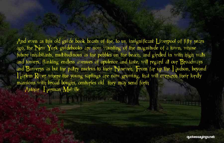 Beyond Quote Quotes By Herman Melville
