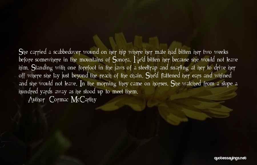 Beyond Reach Quotes By Cormac McCarthy Beyond Reach Quotes By Cormac McCarthy