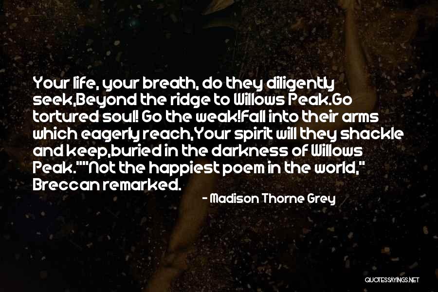 Beyond Reach Quotes By Madison Thorne Grey