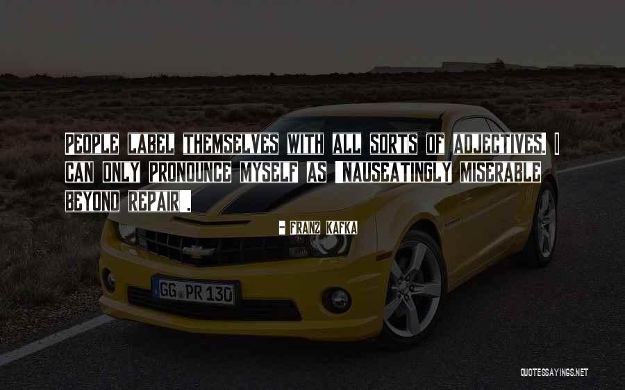 Beyond Repair Quotes By Franz Kafka Beyond Repair Quotes By Franz Kafka