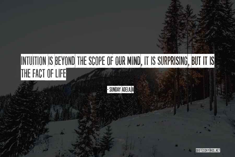 Beyond Sunday Quotes By Sunday Adelaja Beyond Sunday Quotes By Sunday Adelaja