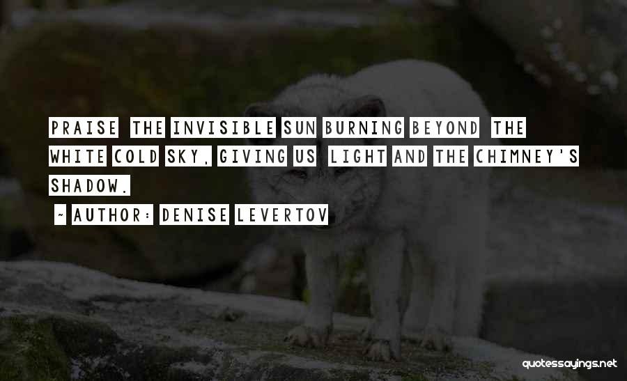 Beyond The Light Quotes By Denise Levertov
