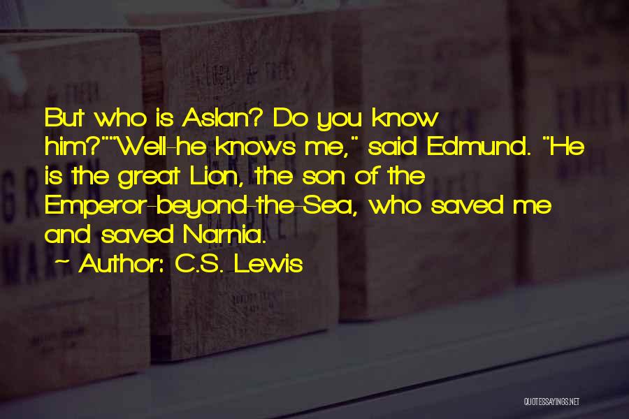 Beyond The Sea Quotes By C.S. Lewis