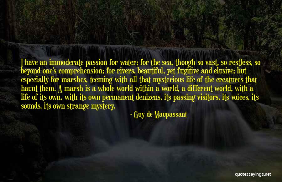 Beyond The Sea Quotes By Guy De Maupassant