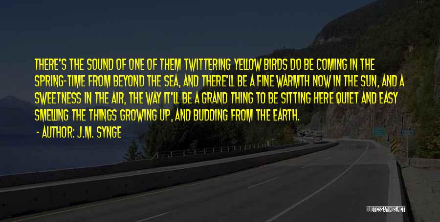 Beyond The Sea Quotes By J.M. Synge Beyond The Sea Quotes By J.M. Synge