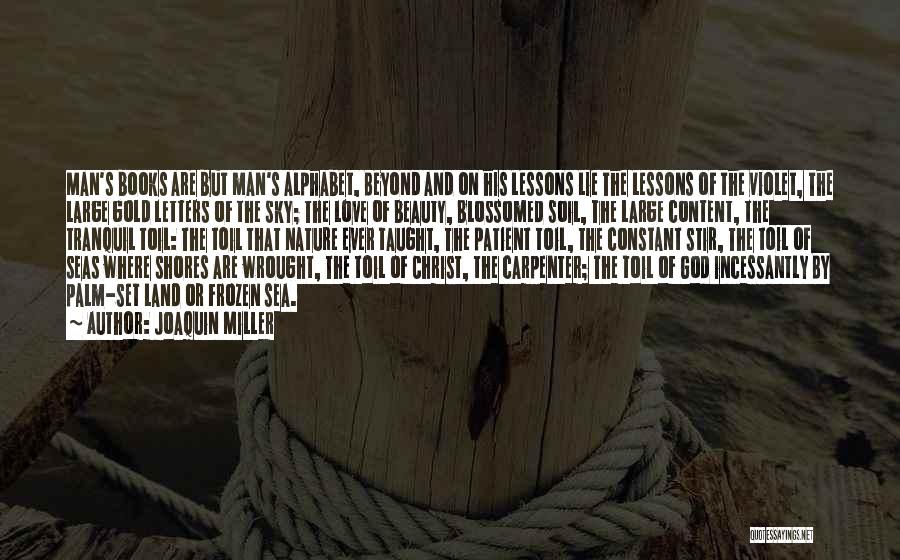 Beyond The Sea Quotes By Joaquin Miller