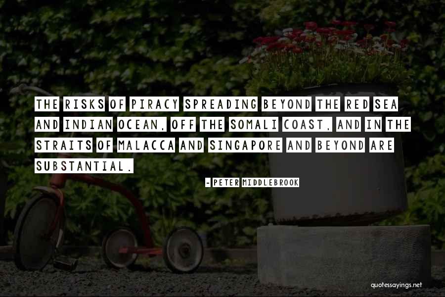 Beyond The Sea Quotes By Peter Middlebrook Beyond The Sea Quotes By Peter Middlebrook