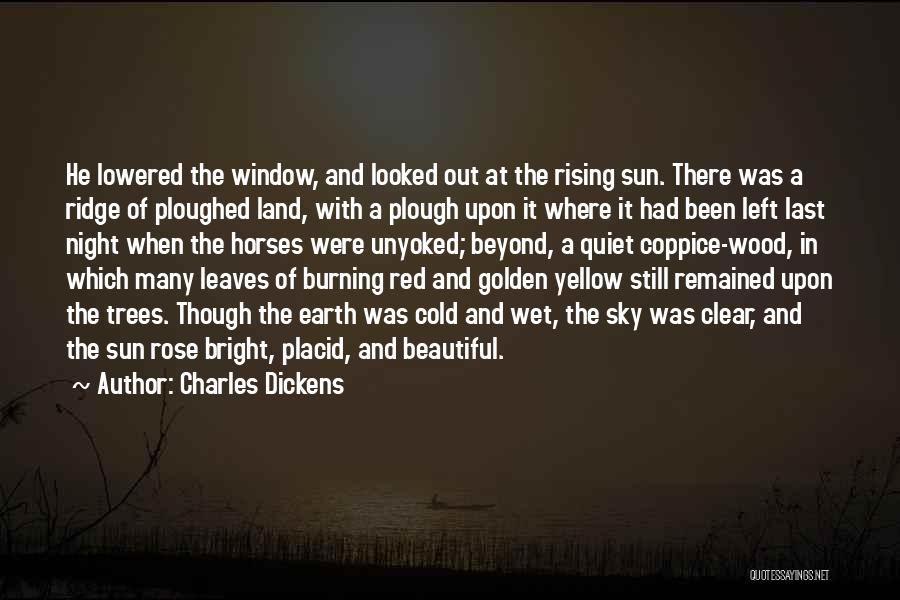 Beyond The Sky Quotes By Charles Dickens