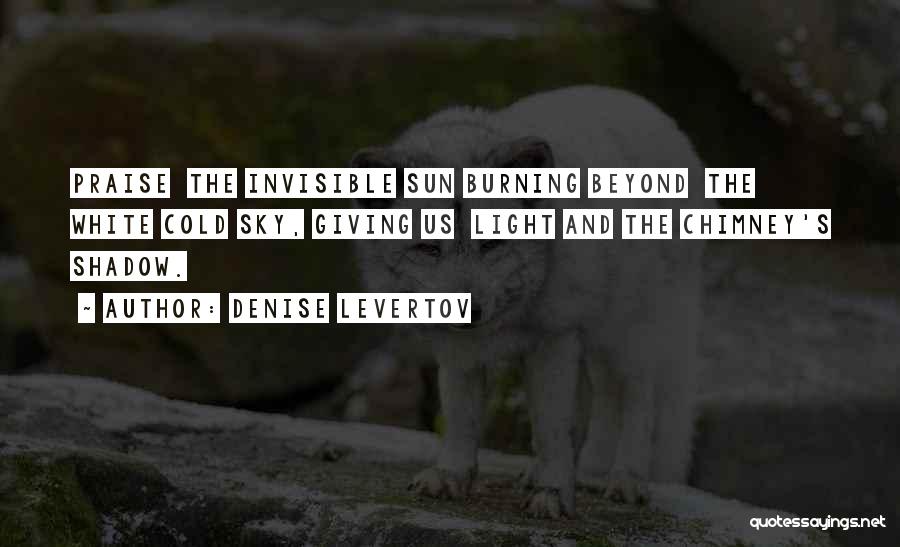 Beyond The Sky Quotes By Denise Levertov