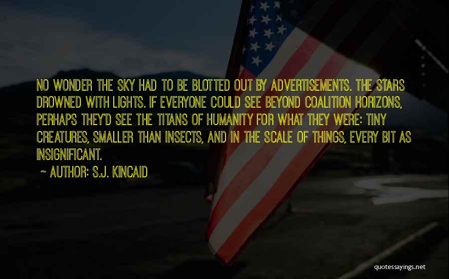 Beyond The Sky Quotes By S.J. Kincaid