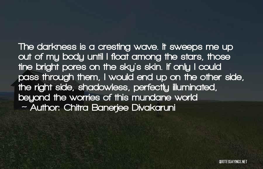 Beyond The Stars Quotes By Chitra Banerjee Divakaruni