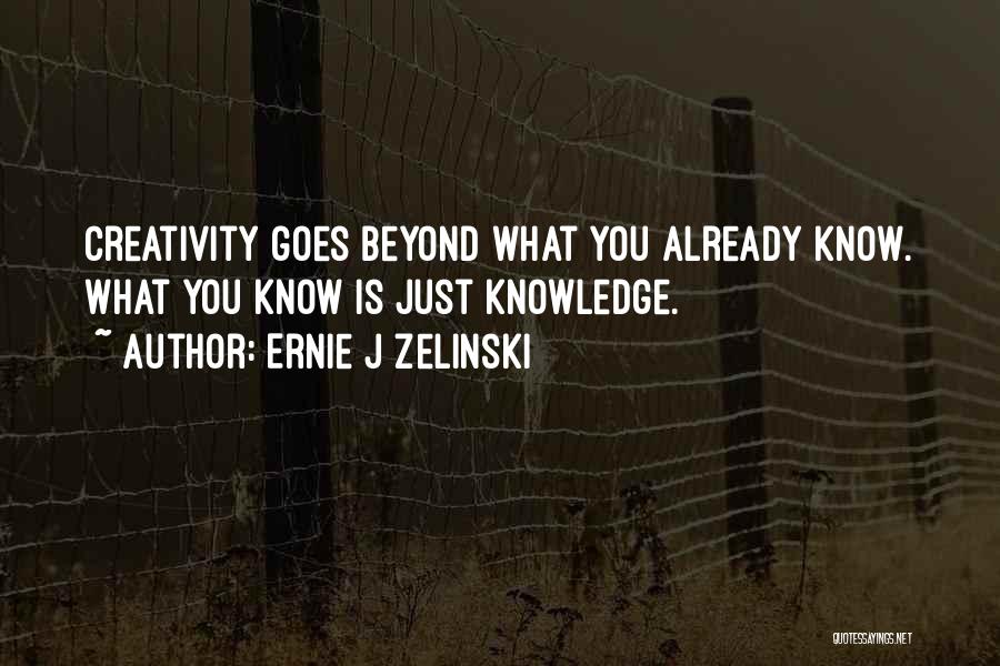 Beyond You Quotes By Ernie J Zelinski
