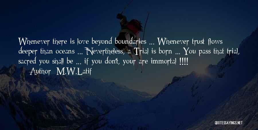 Beyond You Quotes By M.W.Latif