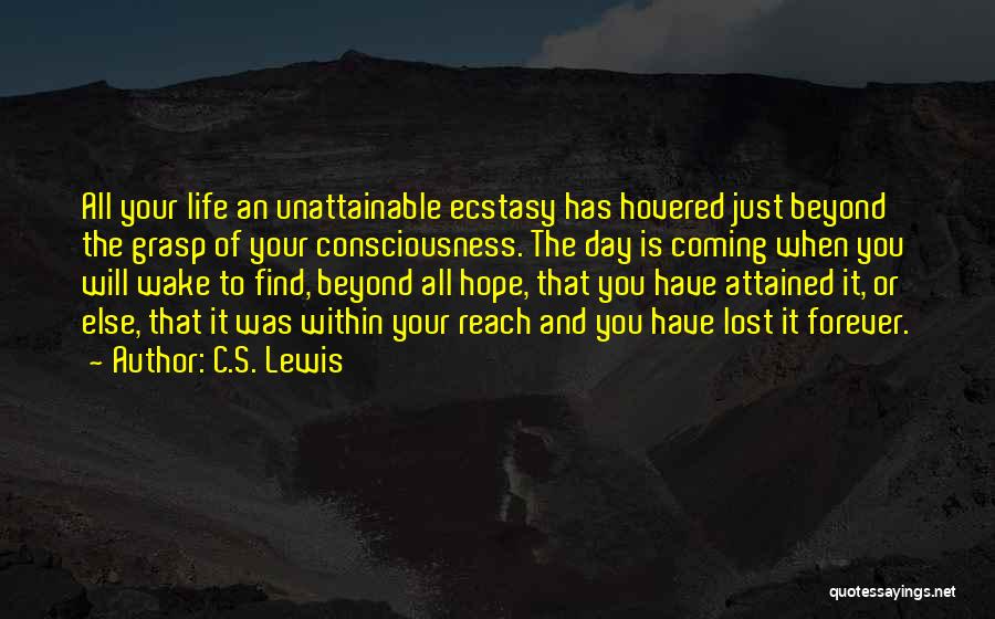Beyond Your Reach Quotes By C.S. Lewis
