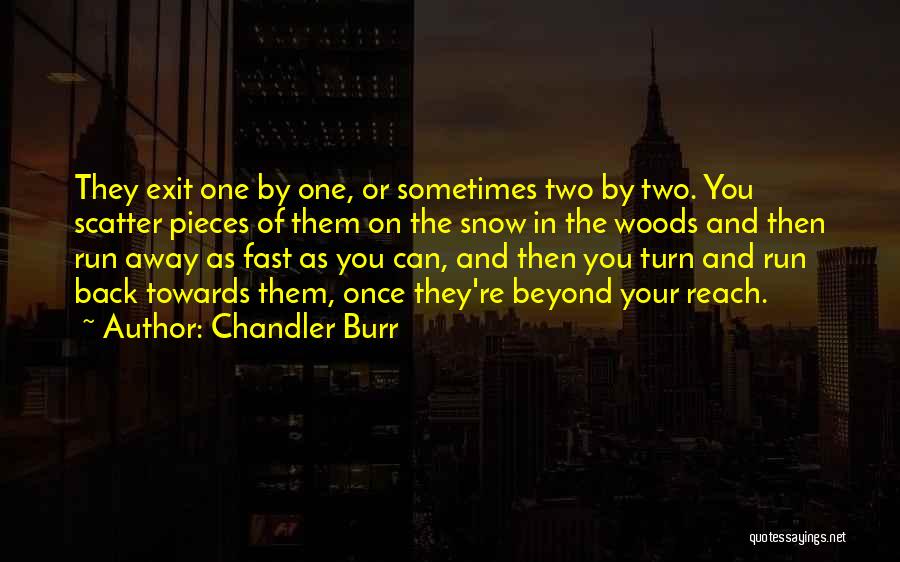 Beyond Your Reach Quotes By Chandler Burr