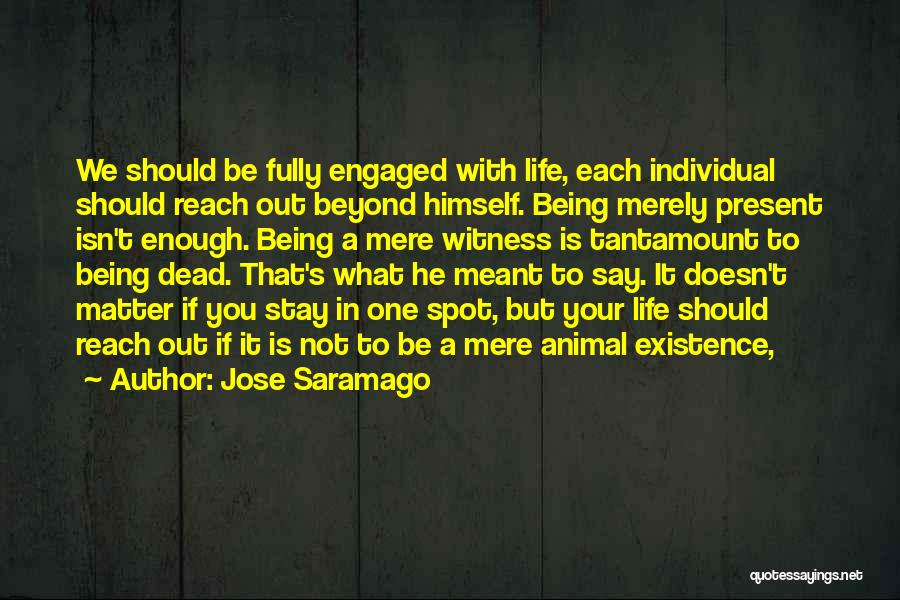 Beyond Your Reach Quotes By Jose Saramago