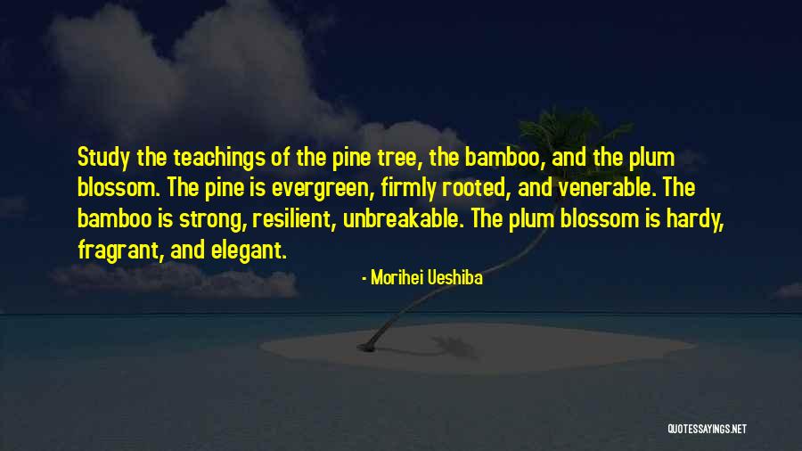 Beyonds Partner Quotes By Morihei Ueshiba Beyonds Partner Quotes By Morihei Ueshiba