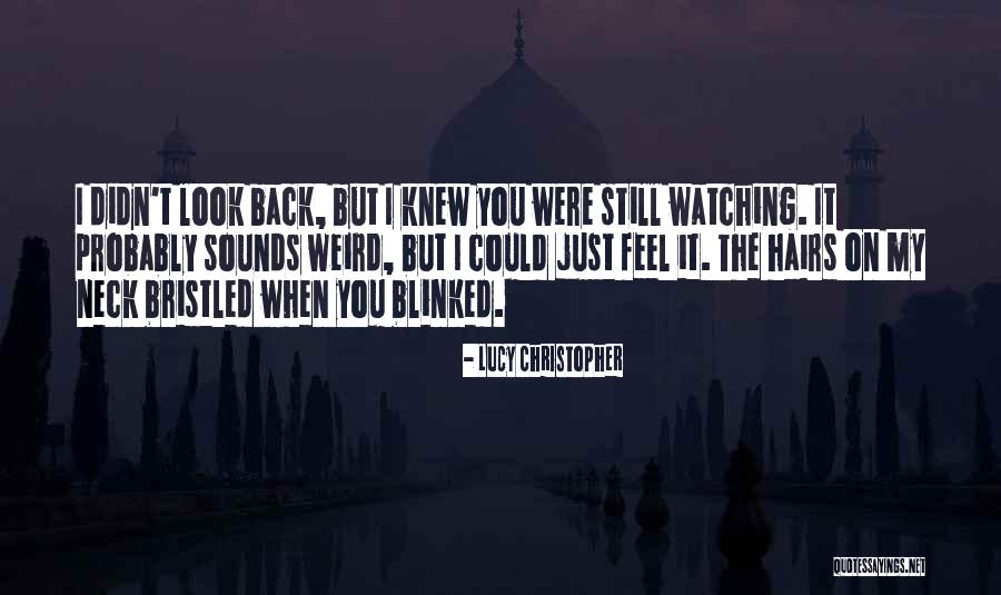 Bezier After Effects Quotes By Lucy Christopher Bezier After Effects Quotes By Lucy Christopher