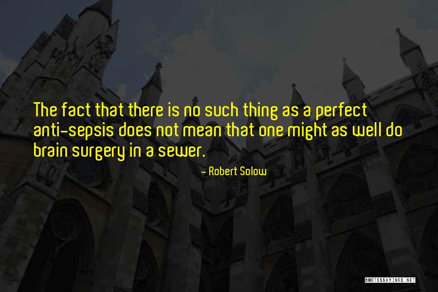Bezina Goran Quotes By Robert Solow