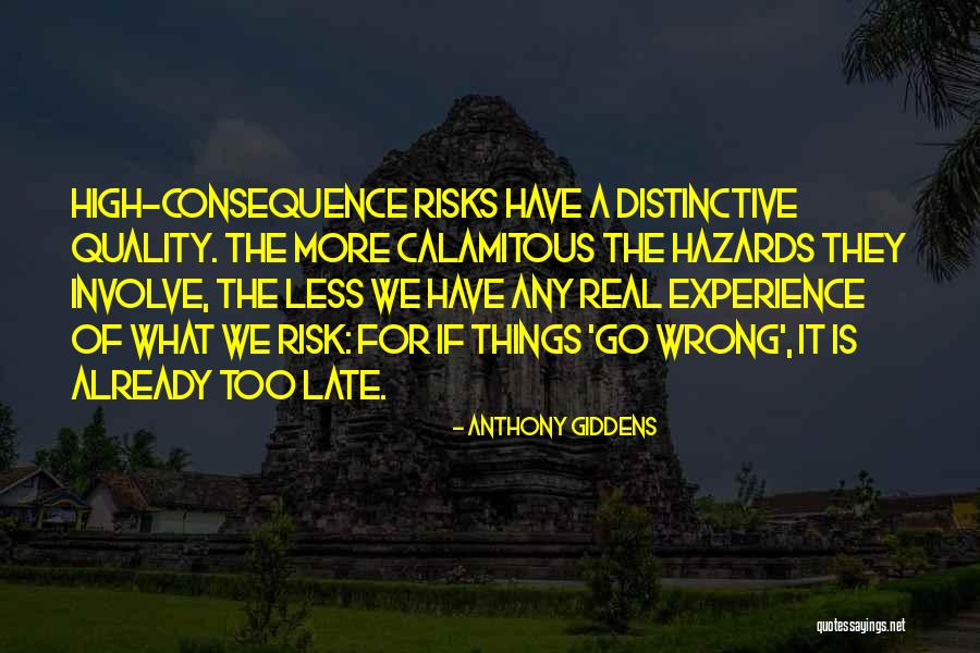Bezmiar Sprawiedliwosci Quotes By Anthony Giddens Bezmiar Sprawiedliwosci Quotes By Anthony Giddens