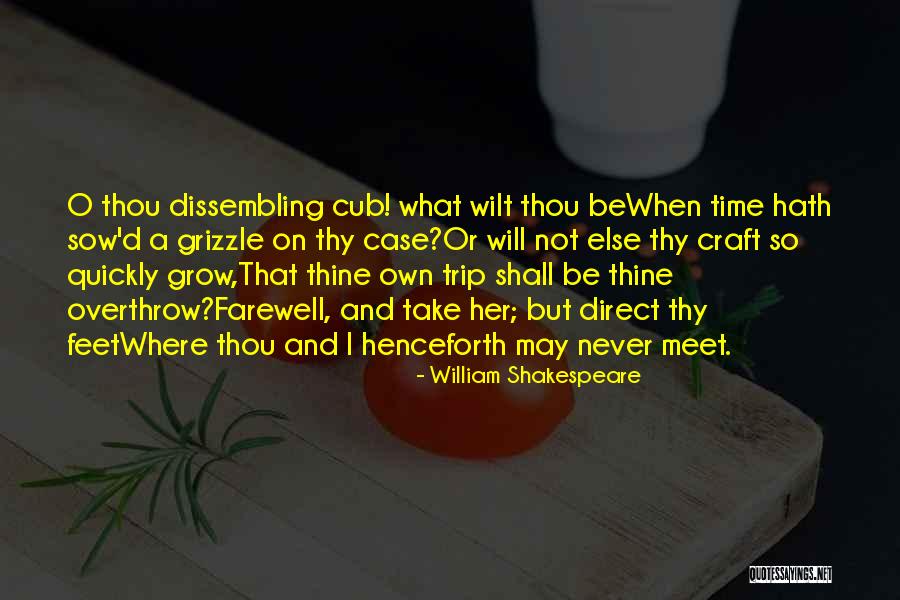 Bezzina Ship Quotes By William Shakespeare Bezzina Ship Quotes By William Shakespeare