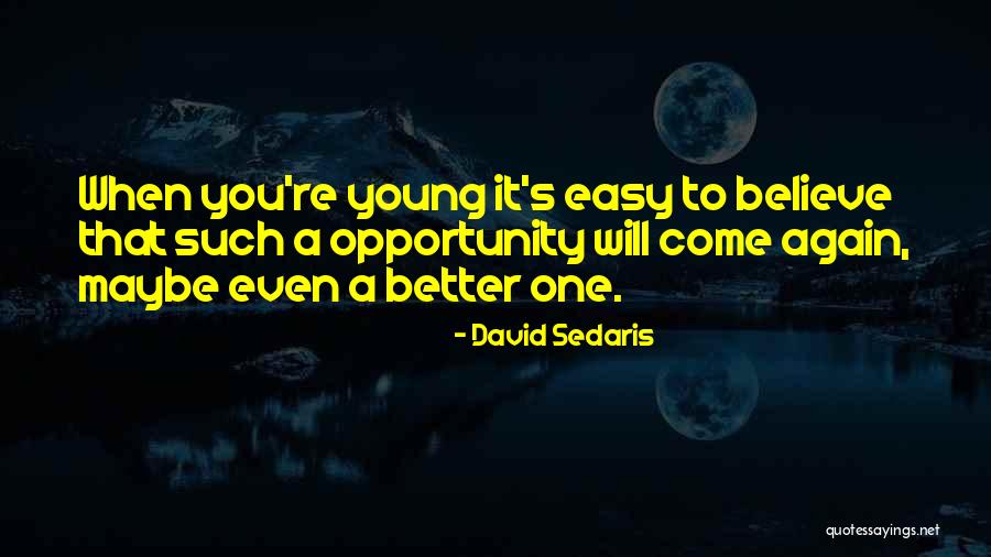 Bhabhi In Hindi Quotes By David Sedaris Bhabhi In Hindi Quotes By David Sedaris