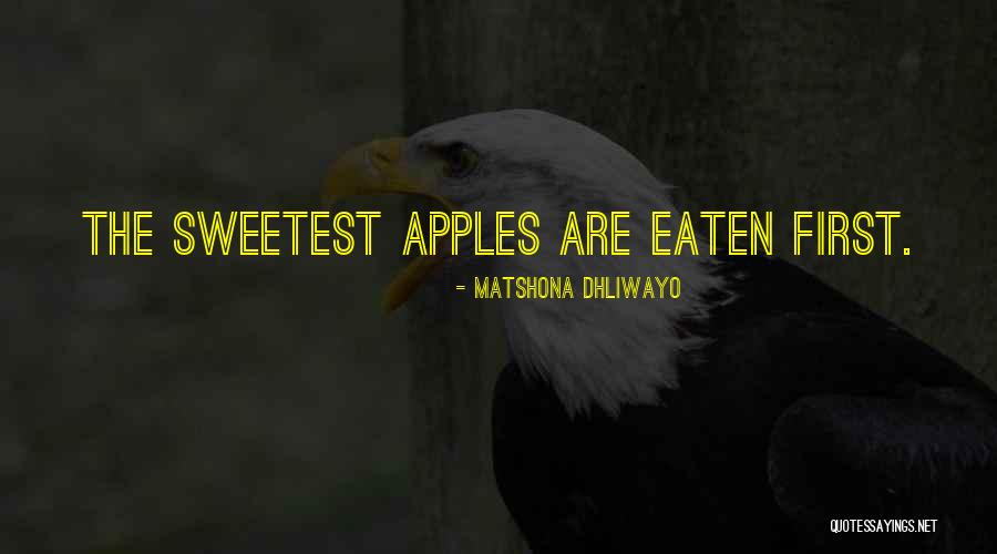 Bhagat Ravidas Quotes By Matshona Dhliwayo Bhagat Ravidas Quotes By Matshona Dhliwayo