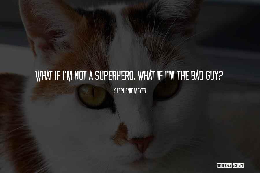 Bhagavad Gita Caste System Quotes By Stephenie Meyer