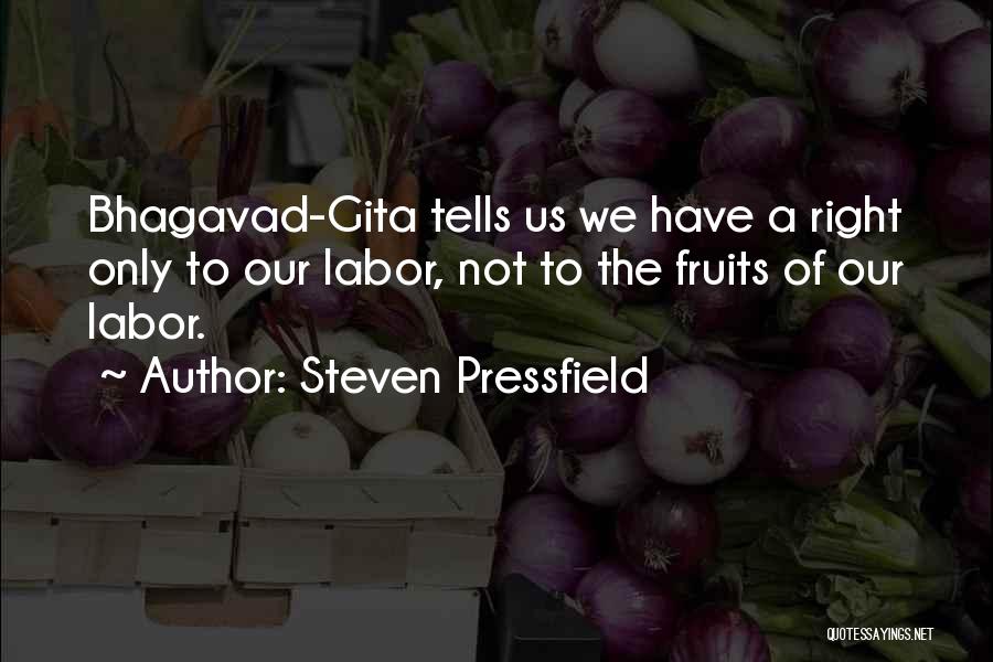 Bhagavad Quotes By Steven Pressfield