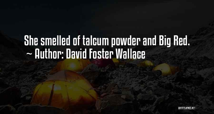 Bhagawan Domya Quotes By David Foster Wallace