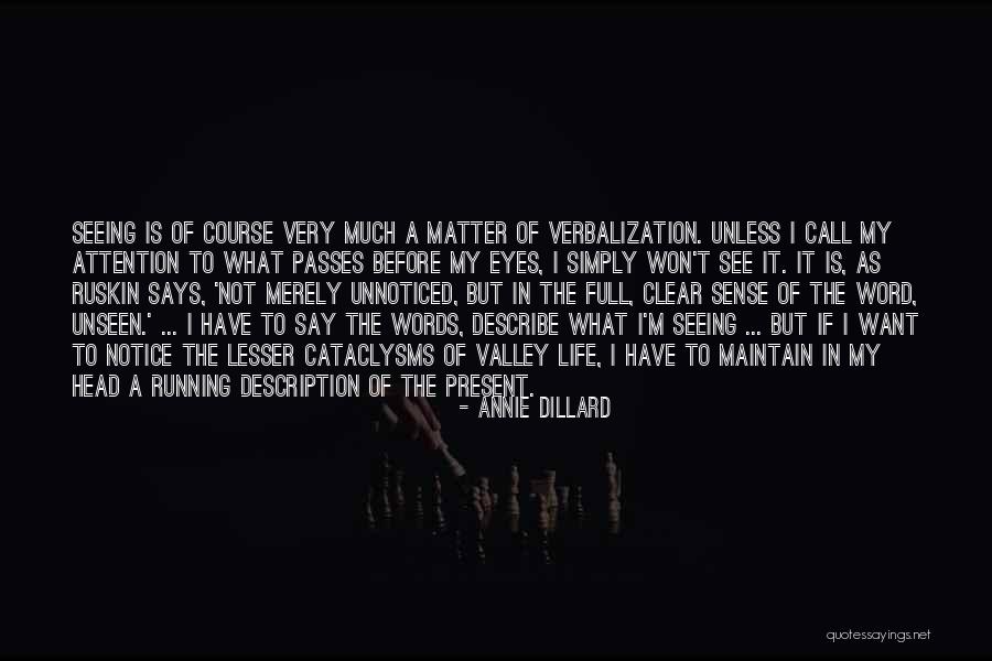 Bhandal Focus Quotes By Annie Dillard Bhandal Focus Quotes By Annie Dillard