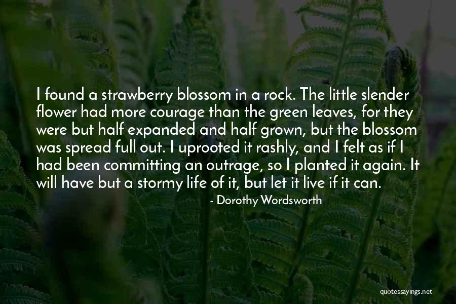 Bharat Ramani Quotes By Dorothy Wordsworth Bharat Ramani Quotes By Dorothy Wordsworth