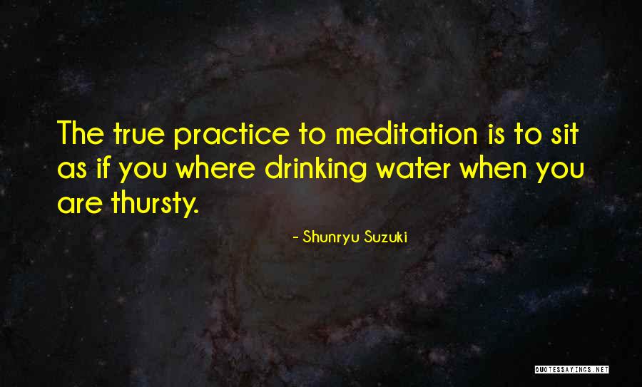 Bhargava Gotra Quotes By Shunryu Suzuki Bhargava Gotra Quotes By Shunryu Suzuki