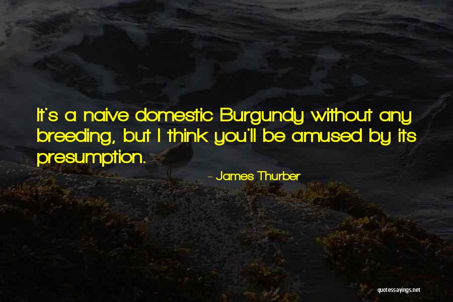 Bhavsar Decatur Quotes By James Thurber Bhavsar Decatur Quotes By James Thurber