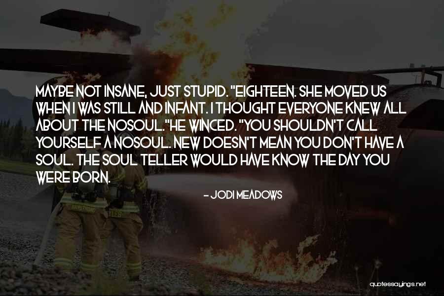 Bhikkhunis Quotes By Jodi Meadows Bhikkhunis Quotes By Jodi Meadows