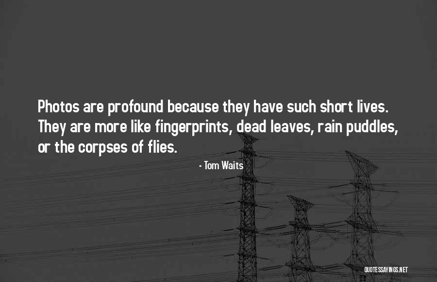 Bhoomika Quotes By Tom Waits Bhoomika Quotes By Tom Waits