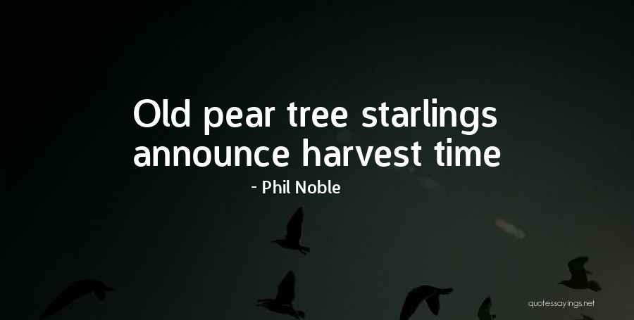 Bhosale Dynasty Quotes By Phil Noble Bhosale Dynasty Quotes By Phil Noble